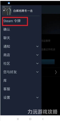 手机版应用的全面解析与实用指南手机版steam