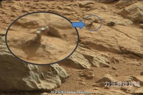 探索无码久久综合网，新闻资讯一站体验