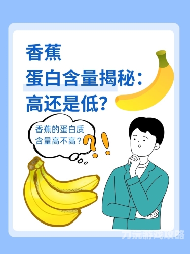 免费大片黄在线观看香蕉免费大片在线观看，香蕉带你探索神秘的网络世界
